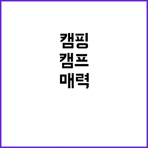 캠프1975 자유로…