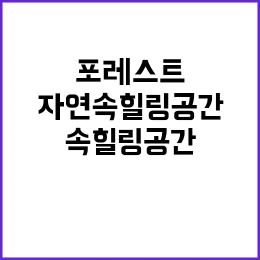 포레스트 최고의 자…