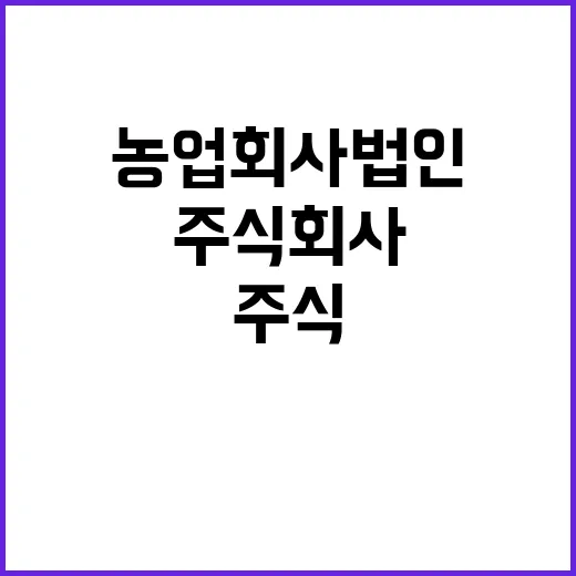 우니메이카 포천점