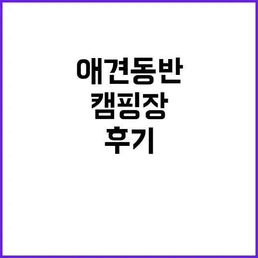 개네집캠핑장 애견 …