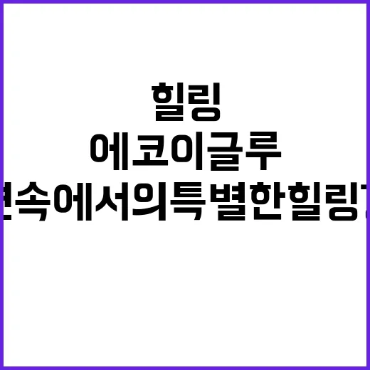 에코이글루