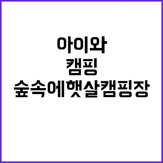 숲속에햇살캠핑장