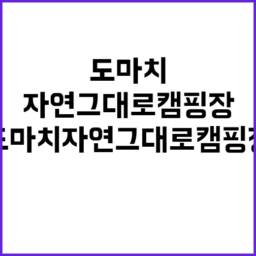 도마치 자연그대로 캠핑장