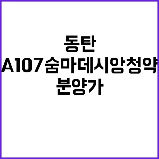 동탄 A107 숨마데시앙 청약 일정 및 분양가 공개!