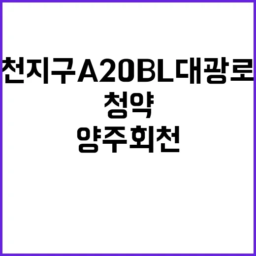 양주 회천지구 A20BL 대광로제비앙 청약 놓치지 마세요!