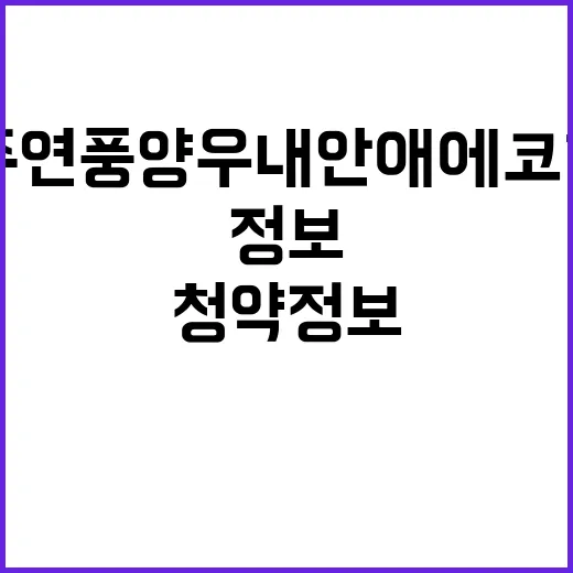 파주연풍 양우내안애 에코하임 청약정보 입주예정일 확인