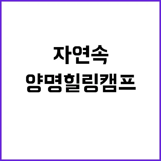 양명힐링캠프