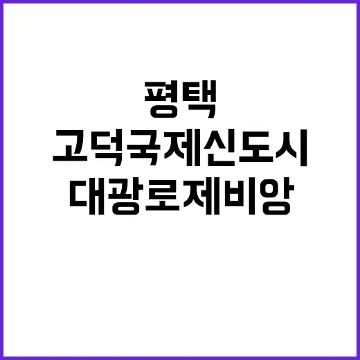 평택 고덕 국제신도시 A55 대광로제비앙 청약 정보 확인하세요!