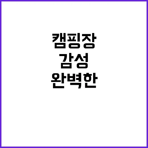 백허그 캠핑장