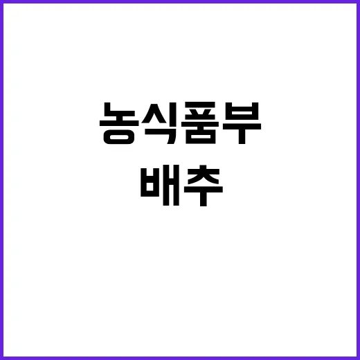 ‘금 배추’ 우려 …