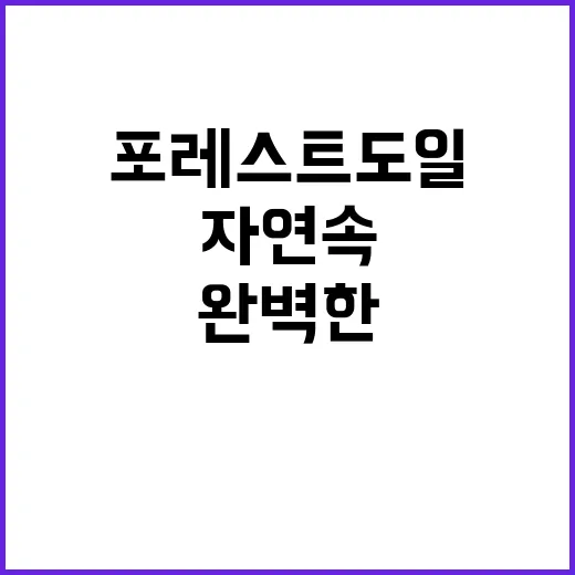 포레스트 도일