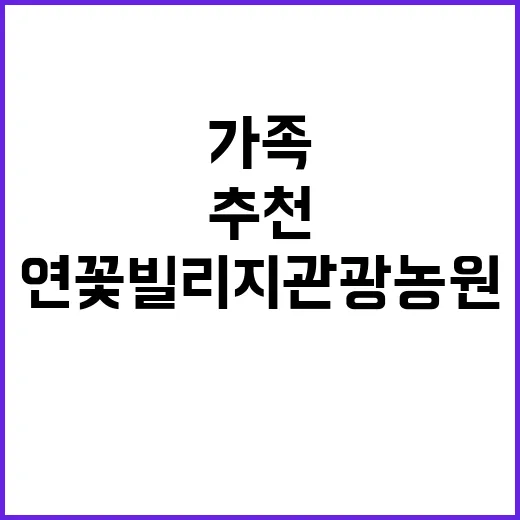 연꽃빌리지 관광농원…