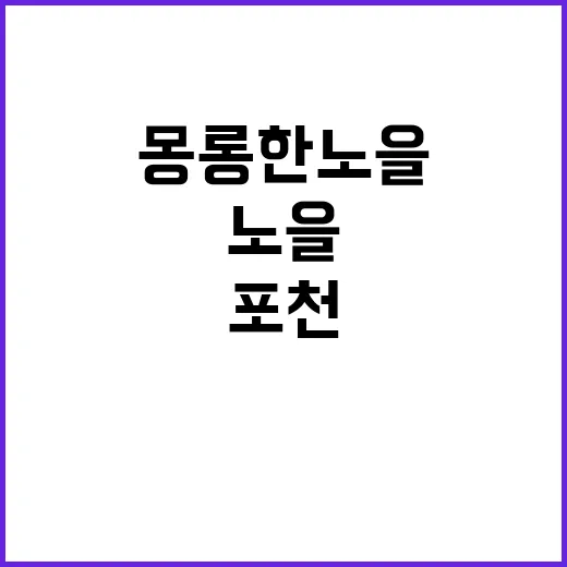 포천 몽롱한노을 카라반 캠핑장