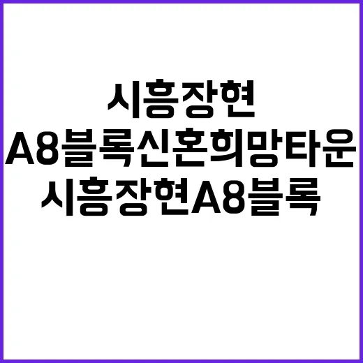 시흥장현 A8블록 …