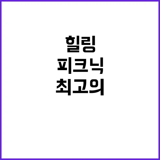 테라피크닉 서울 최…