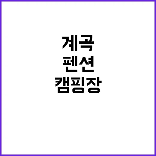 계곡에풍덩펜션캠핑장