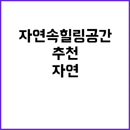 김원장캠핑