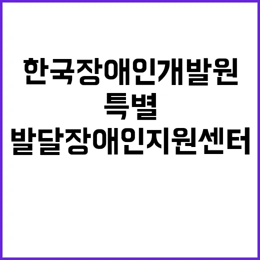 한국장애인개발원 비…