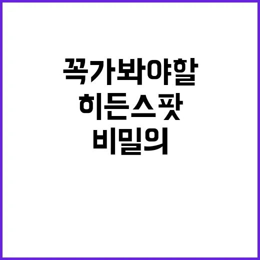 찬누리 비밀의 히든…