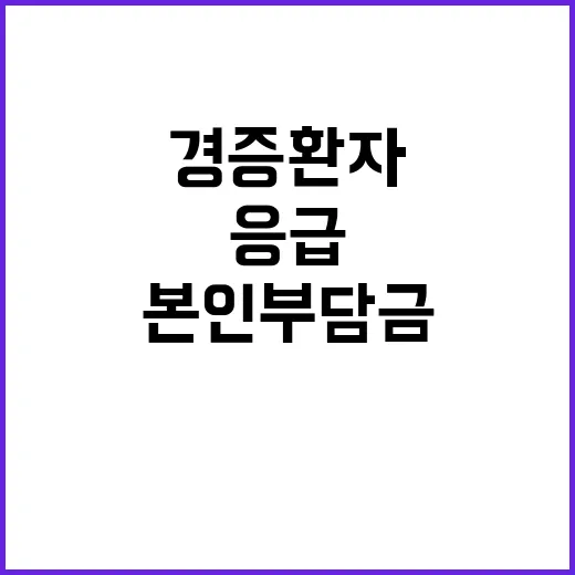 응급의료센터 경증환…