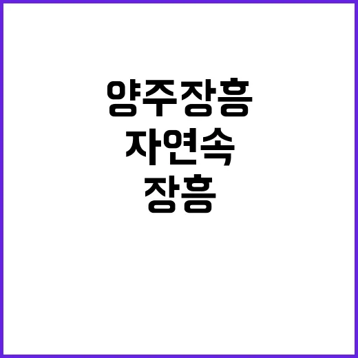 양주 장흥 브이아이…