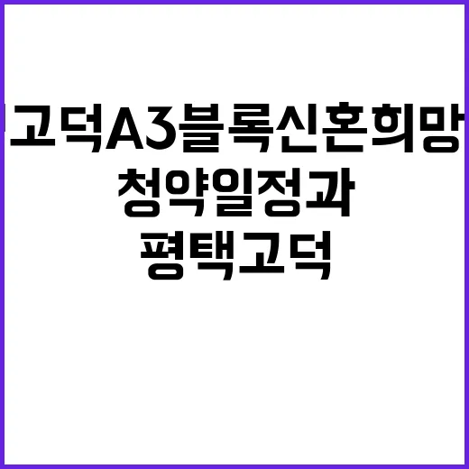 평택고덕 A3블록 …