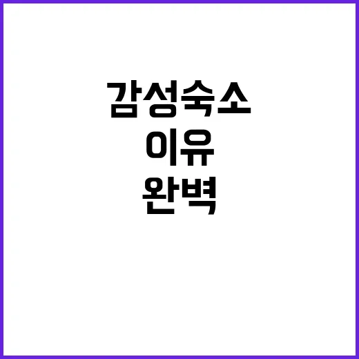 포애뜰