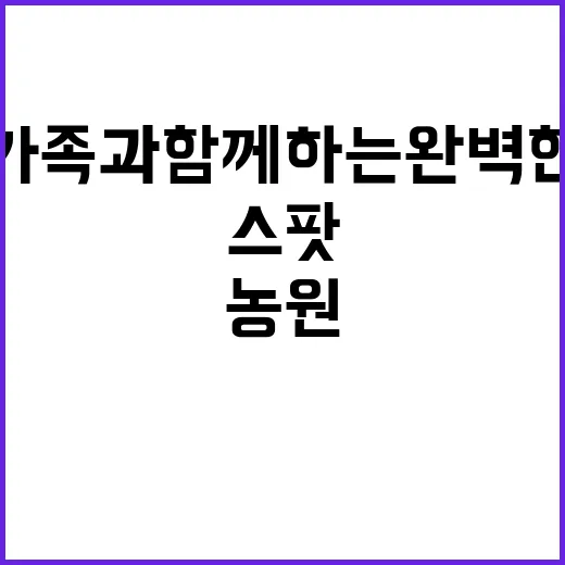 서현농원 야영장 가…