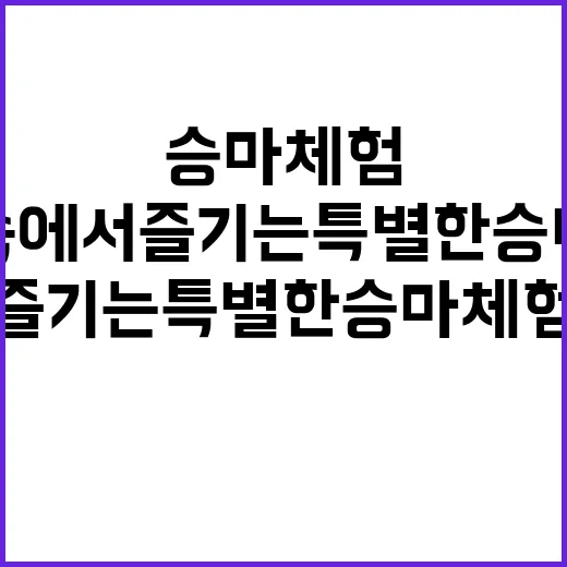 서울승마힐링캠프 자…