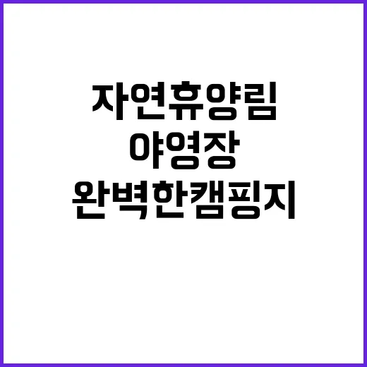 바라산자연휴양림 야영장