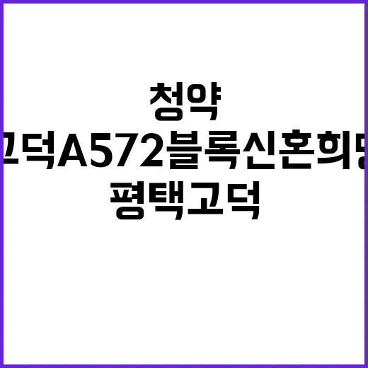 평택고덕 A572블록 신혼희망타운 청약조건과 혜택 공개