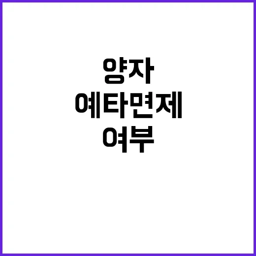 양자 육성 사업 예…