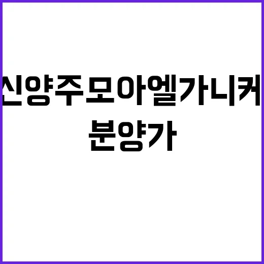 신양주 모아엘가 니케 청약 일정 및 분양가 공개!