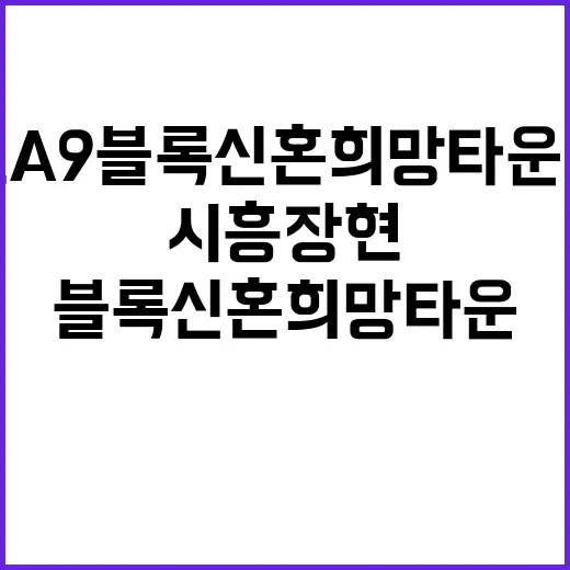 시흥장현 A9블록 …