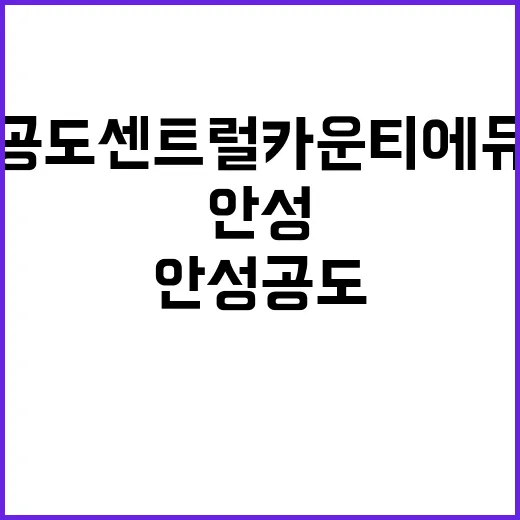 안성 공도 센트럴카…