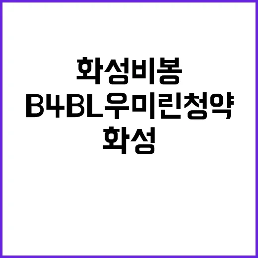 화성 비봉 B4BL…