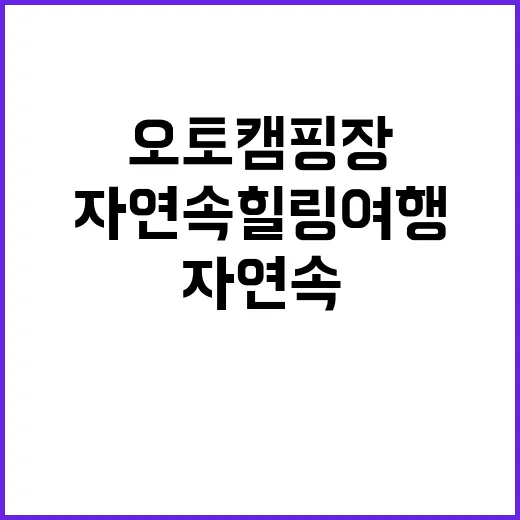 샤토안오토캠핑장 특…