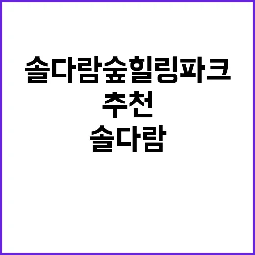 솔다람숲힐링파크 자…