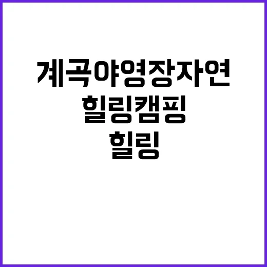 신선계곡 야영장 자…