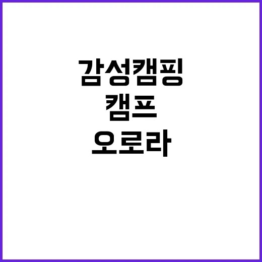 오로라캠프 