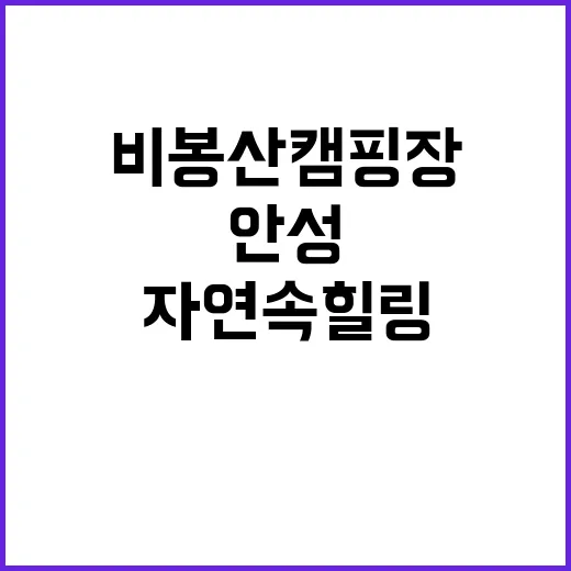 안성비봉산 캠핑장