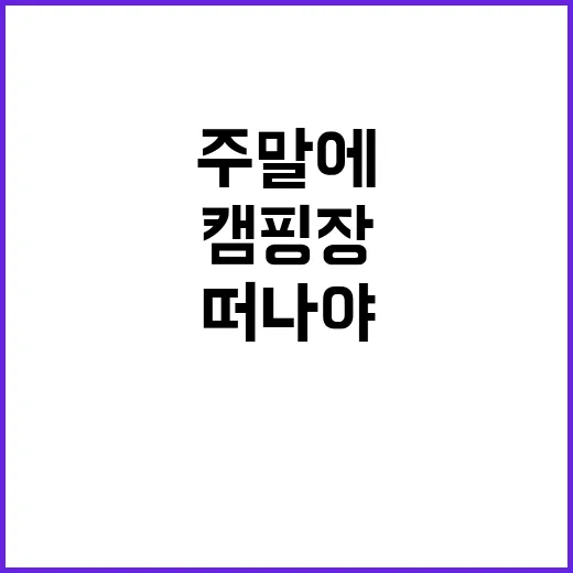 집보다 캠핑장