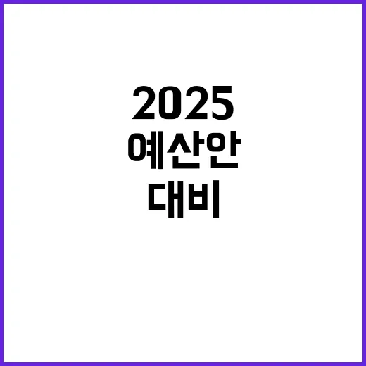 2025 예산안 미래 대비 준비의 모든 것!