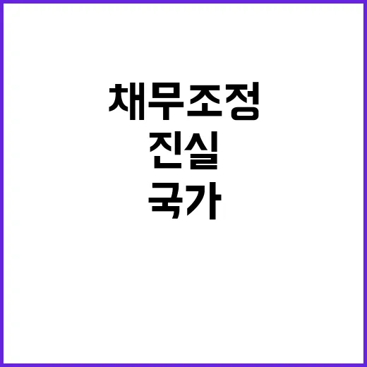 국가 총부채 채무조…