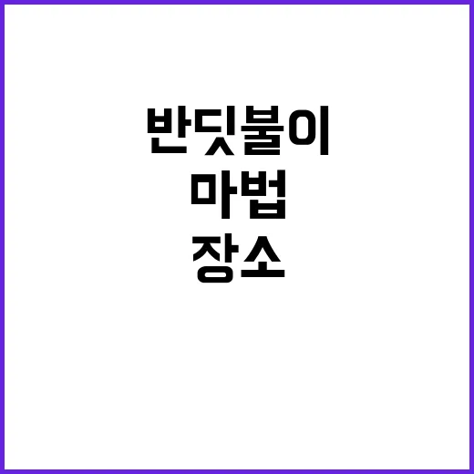 반딧불이 가을밤의 …