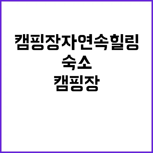 호수캠핑장 자연 속…