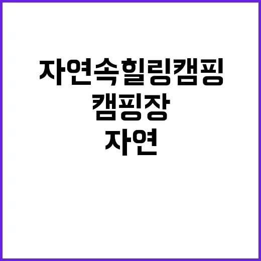 숲속향기캠핑장 최고…