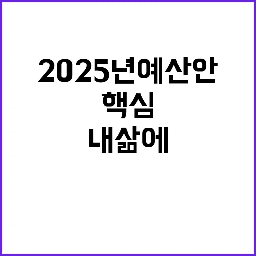 2025년 예산안 내 삶에 유익한 8가지 핵심!