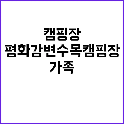 평화강변수목 캠핑장