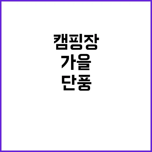 단풍숲캠핑장 완벽한…